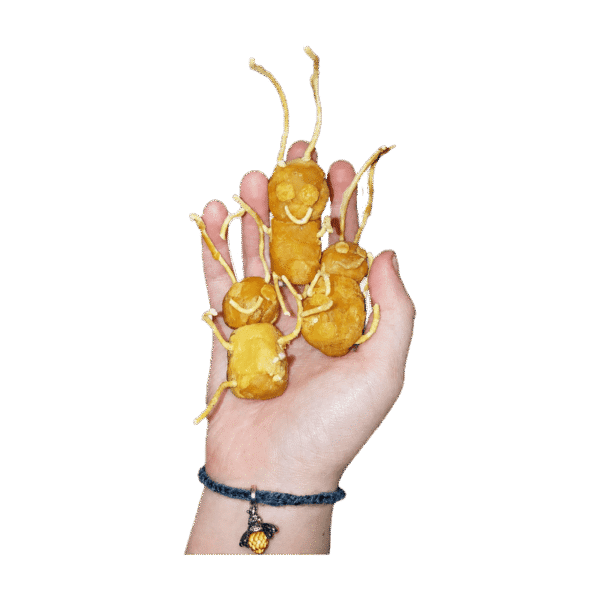 Handmade pure beeswax bee figurines held in a hand, made by BeesFriend from rescued hive cappings wax