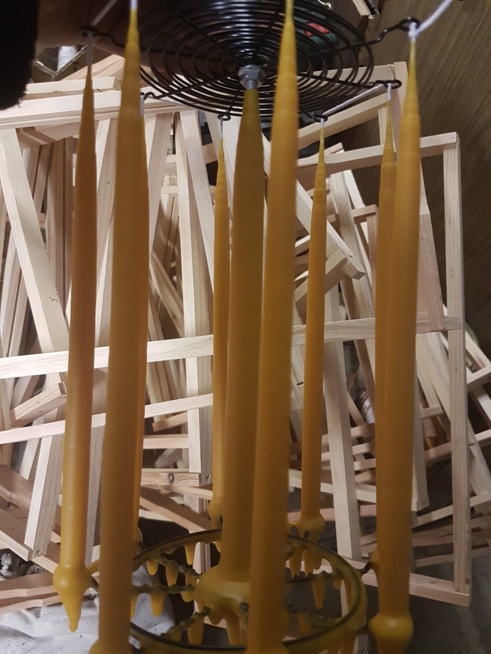 Hand-dipped BeesFriend beeswax tapers hanging to set on the rack after dipping