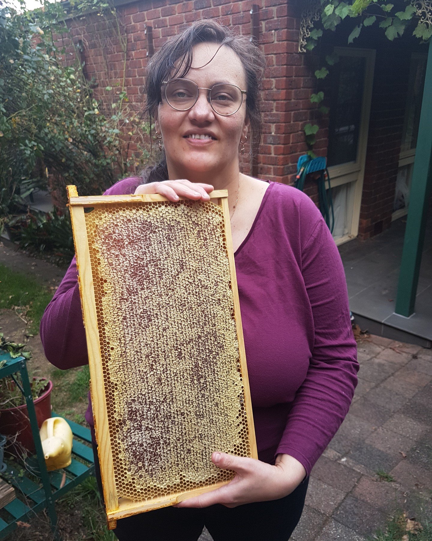 A full frame of capped honeycomb held up in a Melbourne backyard