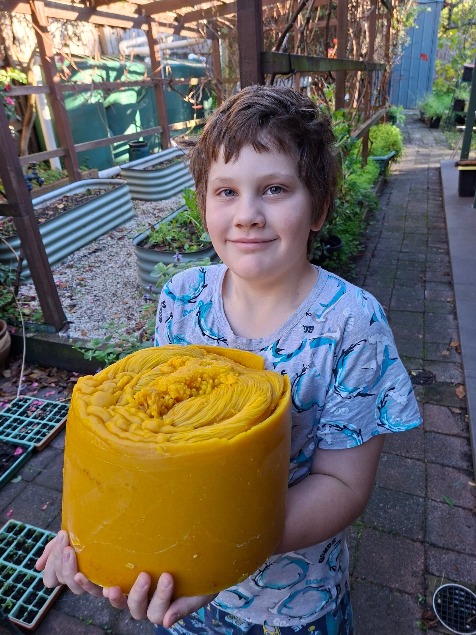 A large block of pure golden beeswax held in both arms in a backyard garden