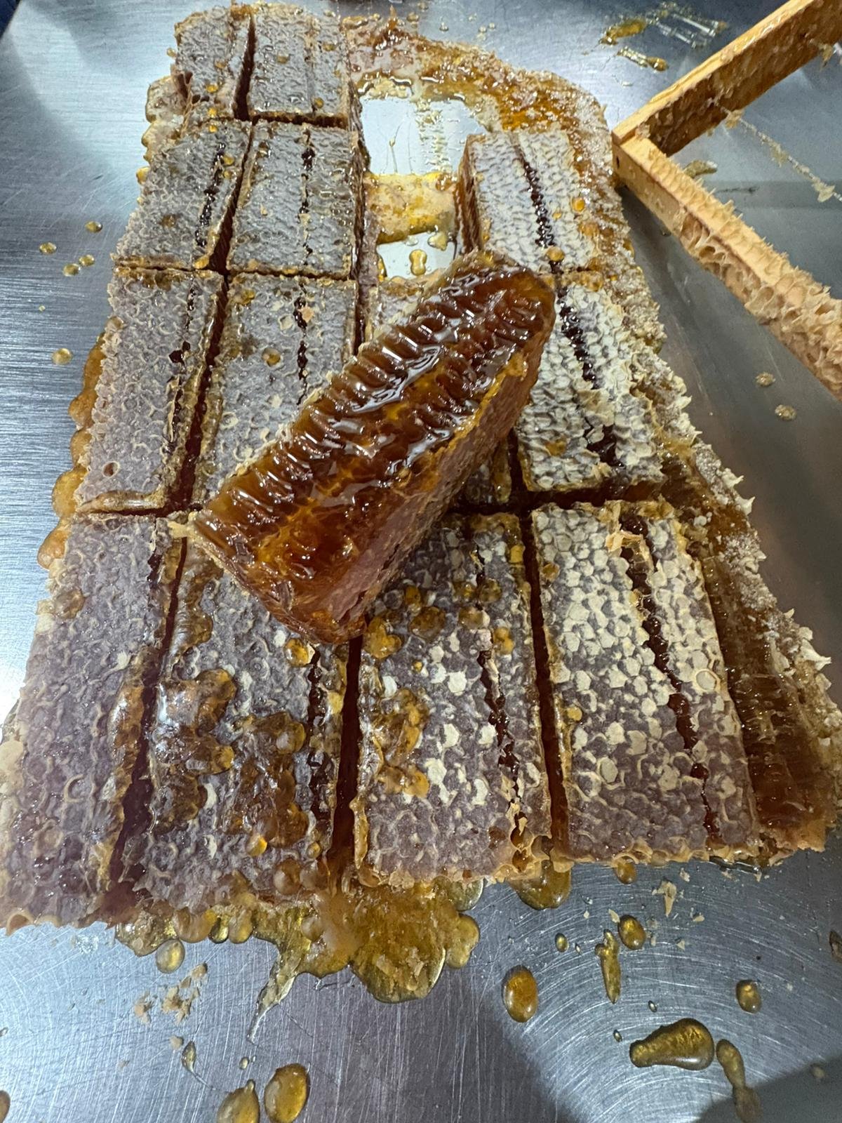 Close-up of freshly cut honeycomb pieces, one glossy with honey