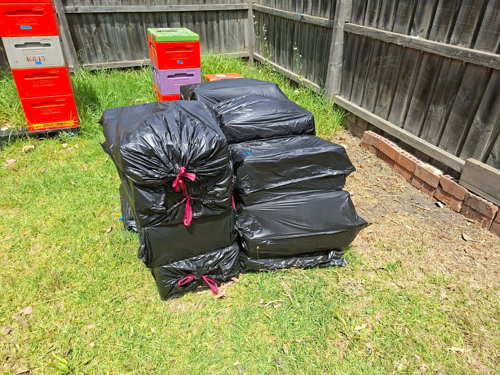 Beehive frames sealed in black plastic bags ready for destruction after American foulbrood