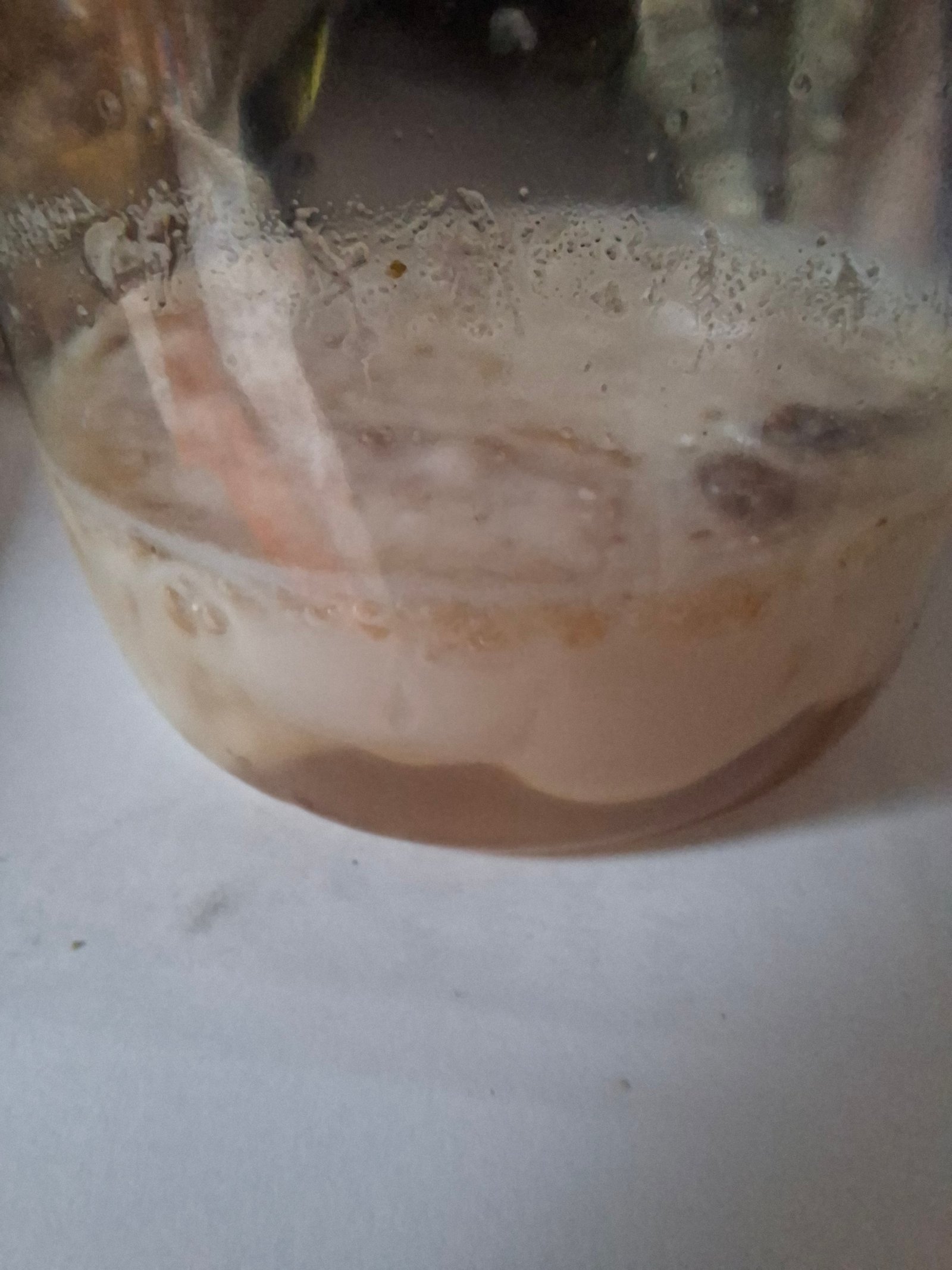 Holst milk test for American foulbrood, suspect larval remains dissolved in skim milk in a jar