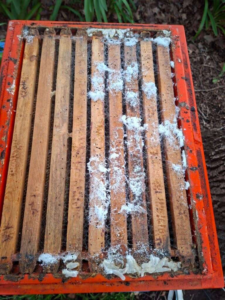 Beehive frames and top bars matted with wax moth webbing and frass
